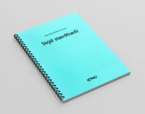 Strjál stærðfræði 513