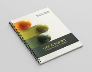 Upp á punkt - Upprifjun grunnþátta í stæ