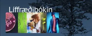 Líffræðibókin vefbók