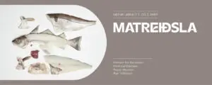 Matreiðsla 2. og 3. þrep - vefbók